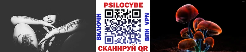 Псилоцибиновые грибы Psilocybe  KRAKEN   Новое Девяткино 